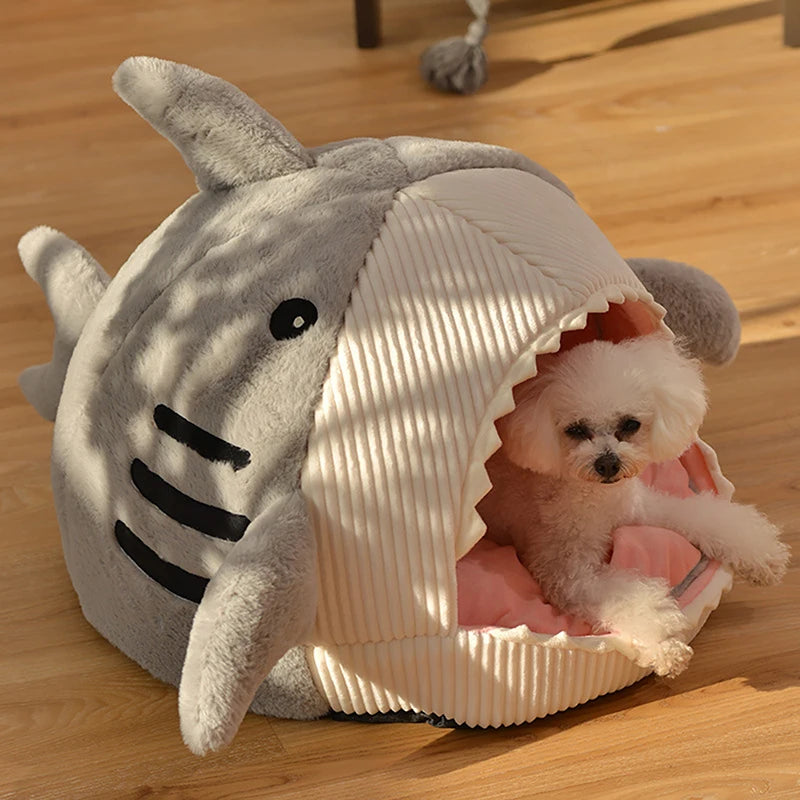 Dog inside a shark-shaped pet bed on a wooden floor