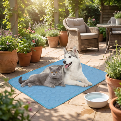 Two dogs, a gray cat, and a blue mat on a patio with potted plants and outdoor furniture.